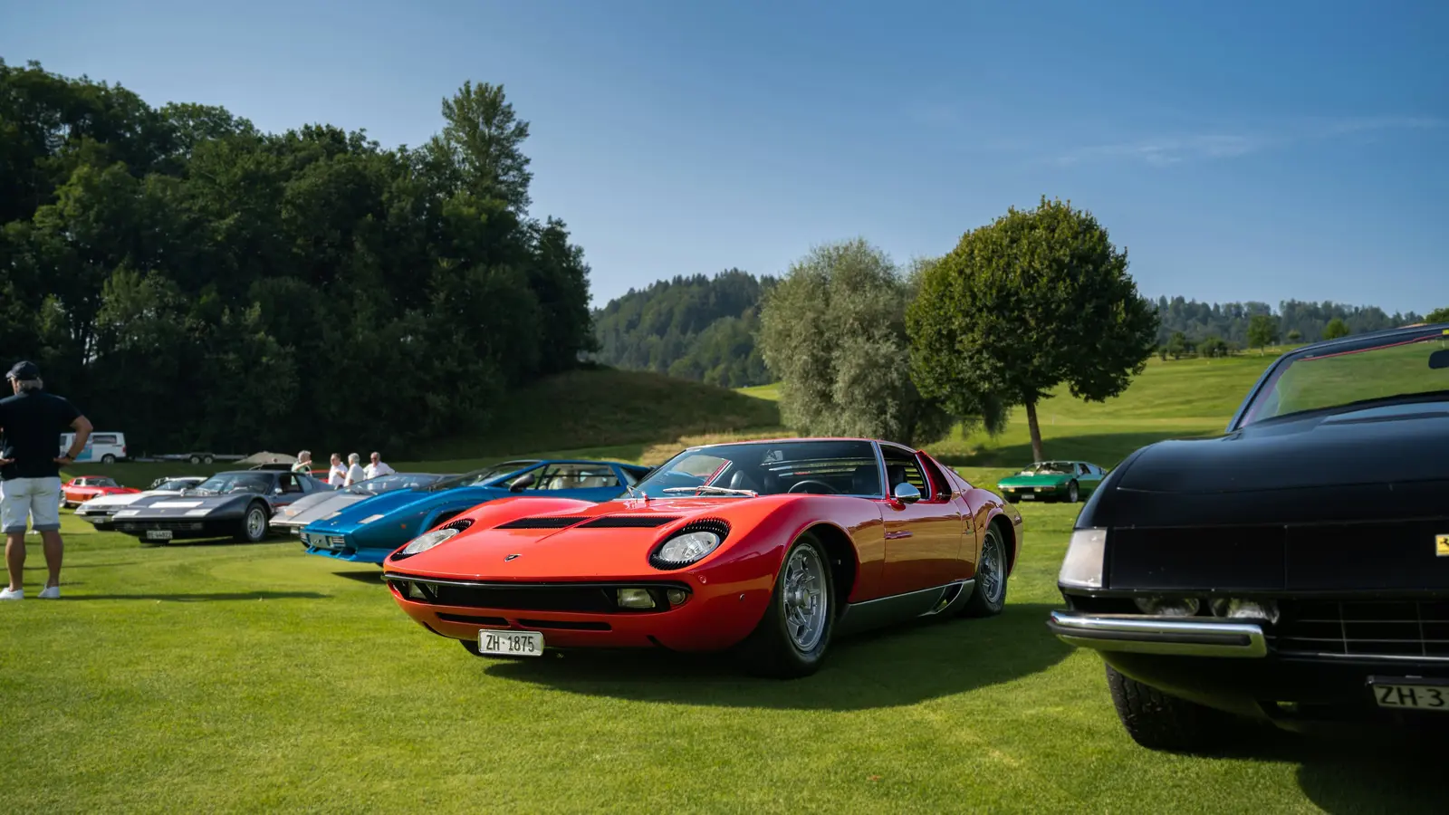 Klassiker auf einer Wiese bei einem Treffen, im Vordergrund ein roter Sportwagen mit Zürcher Kennzeichen